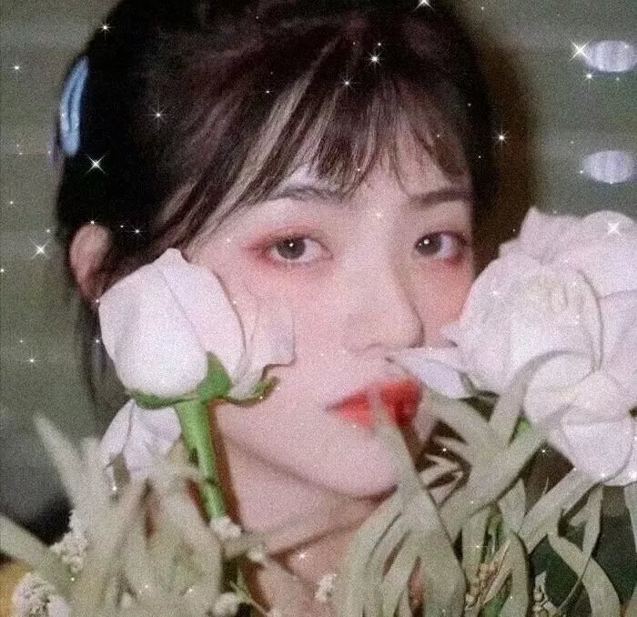 玄璃美人煞 在线观看